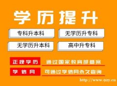 自学考试专升本传媒大学成人本科数字媒体艺术小自考